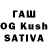 Галлюциногенные грибы Psilocybine cubensis Kal Thramis
